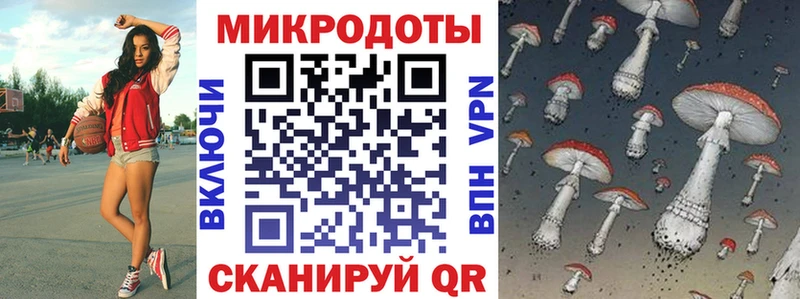 Купить где  Моздок  Галлюциногенные грибы Psilocybine cubensis 
